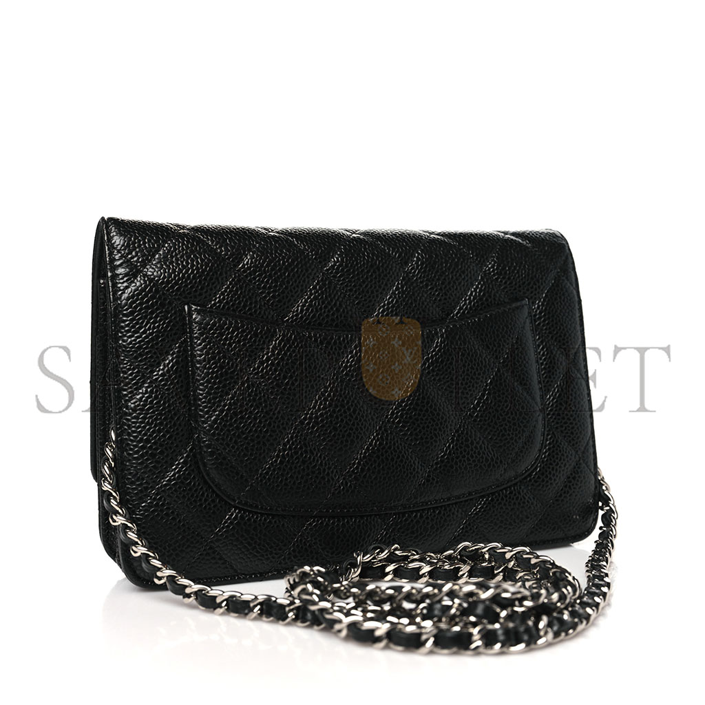 CHANEL CLASSIC WALLET ON CHAIN SILVER HARDWARE  AP0250 Y01480 C3906 （19.2*12.3*3.5cm）